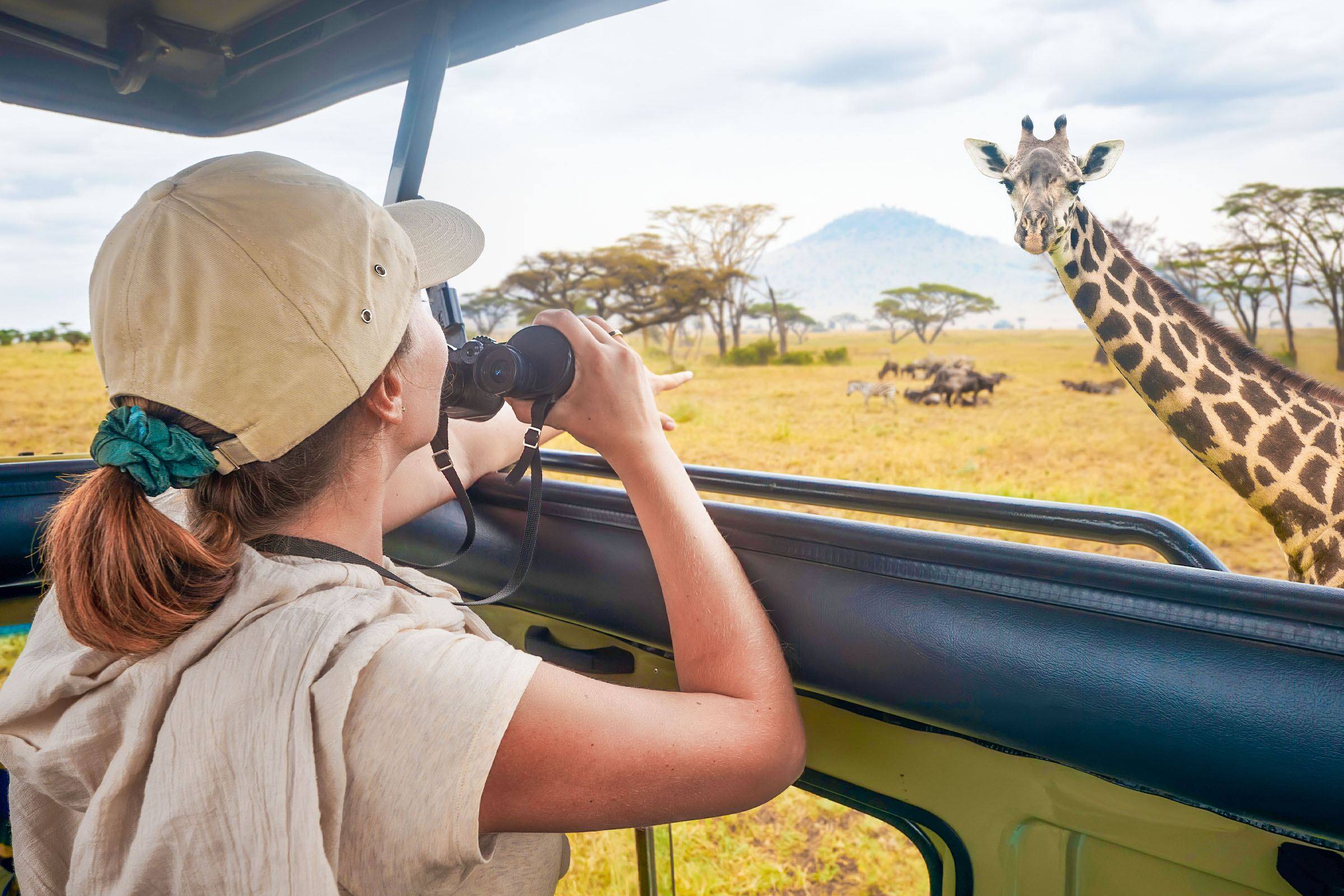 Day Tours & Short Safari Excursions