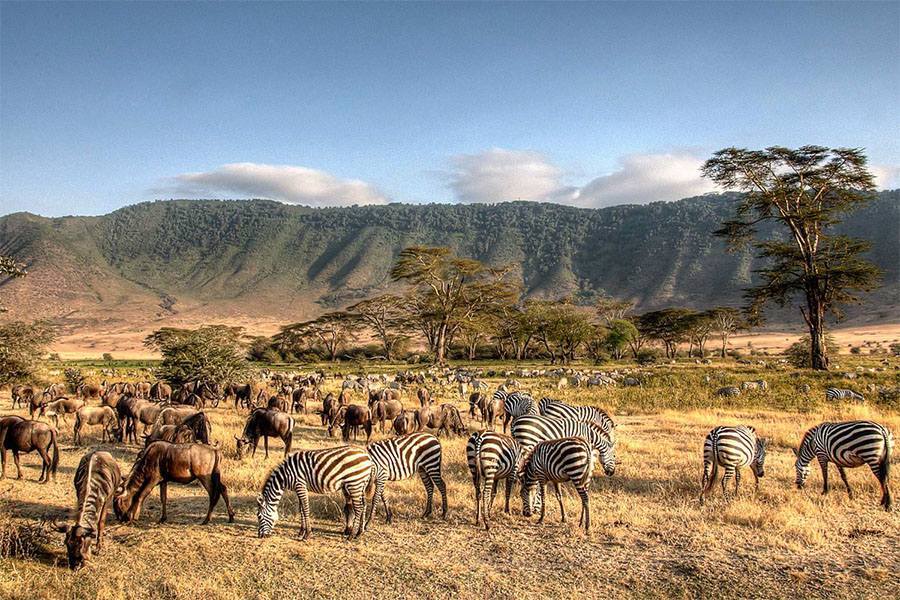 Cultural & Nature Integration Journeys